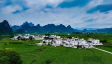 Photo shows verdant mulberry parks in an ecological demonstration zone located in Desheng Town of Yizhou District in Hechi City of Guangxi Zhuang Autonomous Region. (Photo by Wang Xinyuan)