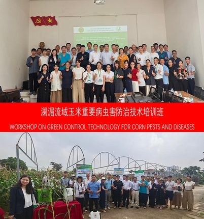 CCTV+: Lokakarya Teknologi yang Ramah Lingkungan untuk Pengendalian Hama dan Penyakit Jagung di DAS Lancang-Mekong Digelar di Hanoi, Vietnam